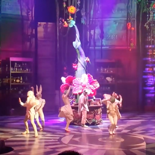 JOYÁ - Cirque Du Soleil